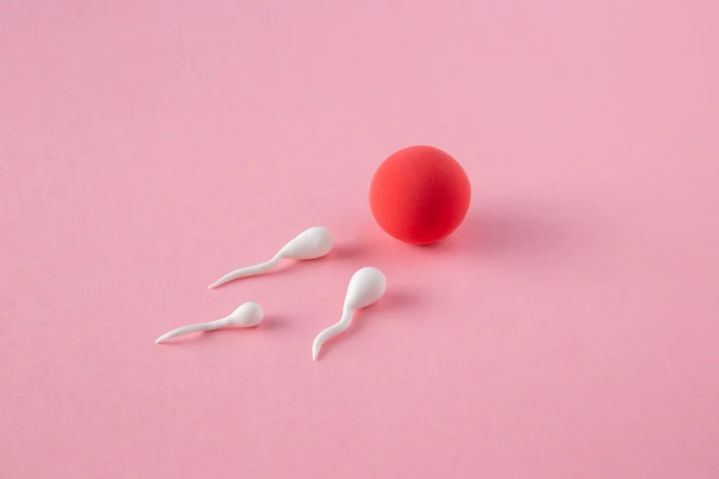 Sperm-Donation